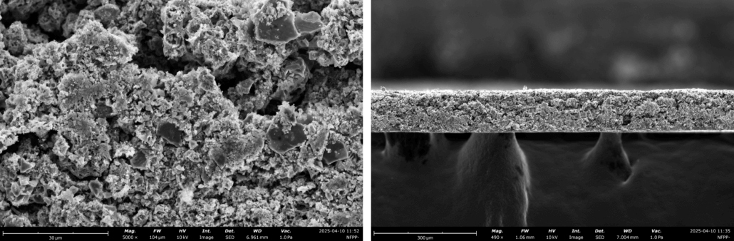 NEI NFPP SEM images