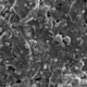 SEM of a battery electrode surface